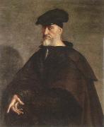Sebastiano del Piombo portrait of andrea doria Sweden oil painting artist